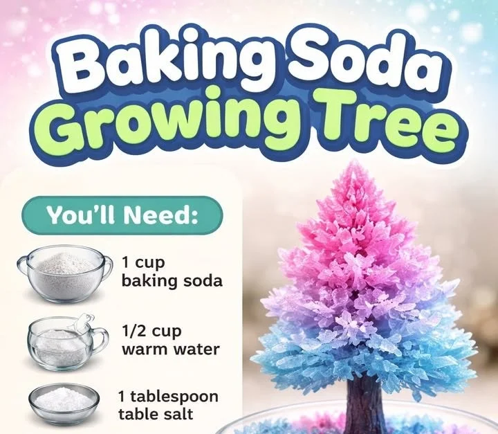 Baking Soda Growing Tree