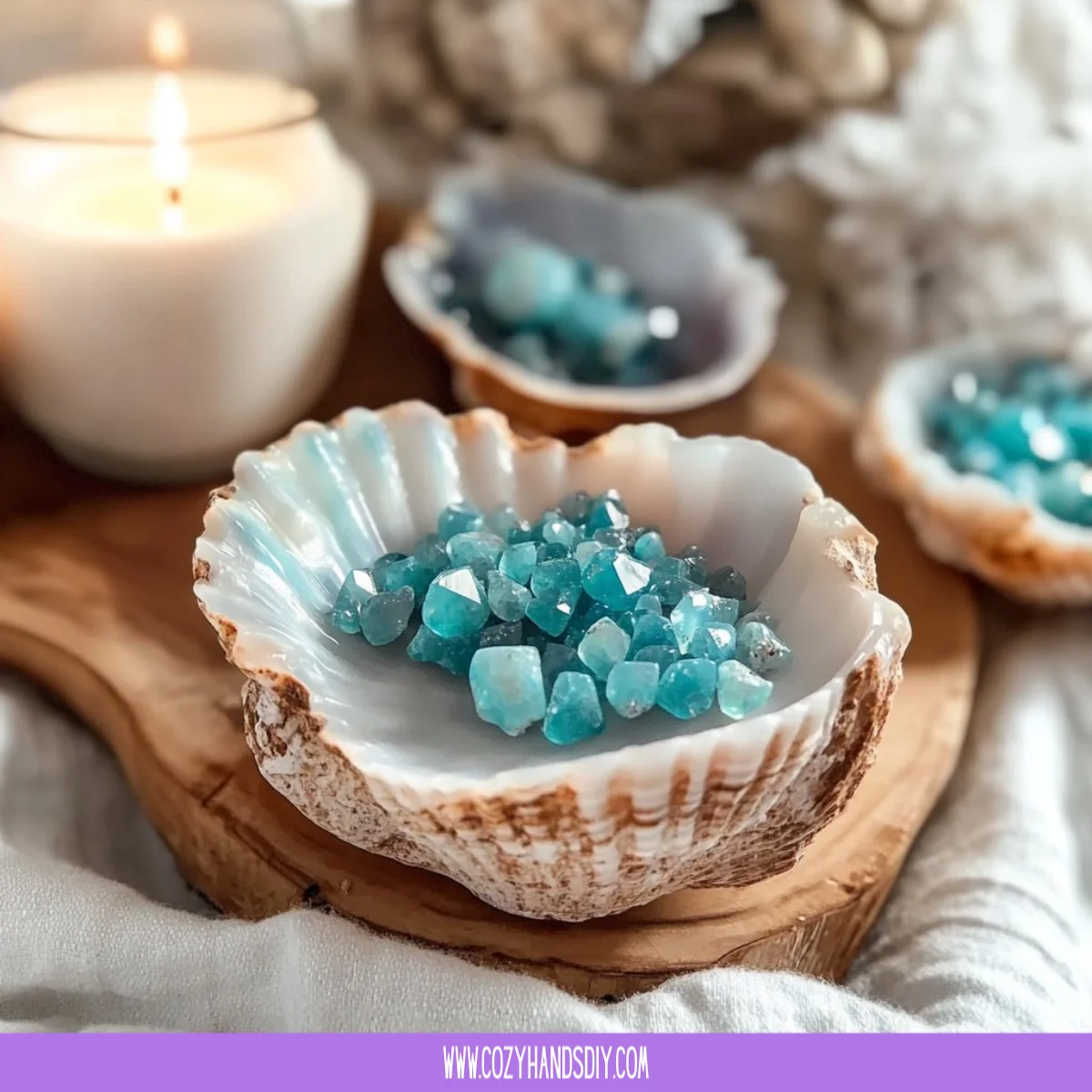 Turquoise Crystal Seashells