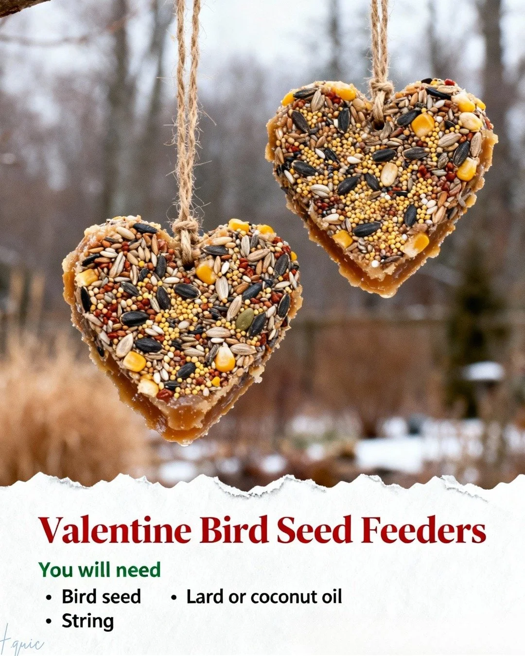 Valentine Bird Seed Feeders