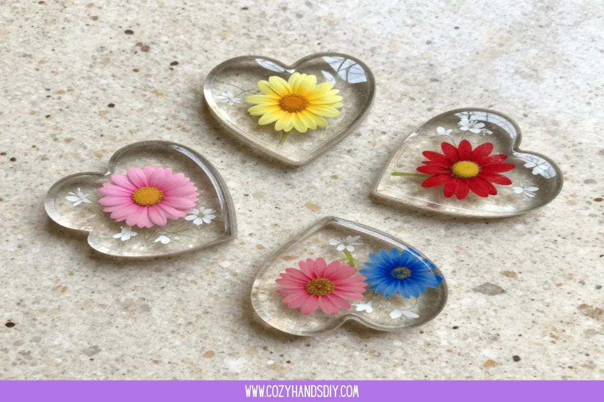 Clear Hearts with Blossoms Becomes Cozy