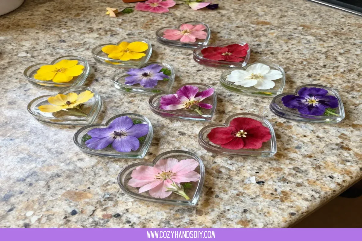 Pressed Flower Hearts Become Cozy