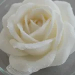crystal wedding rose becomes cozy 2026 07 04 194300 1