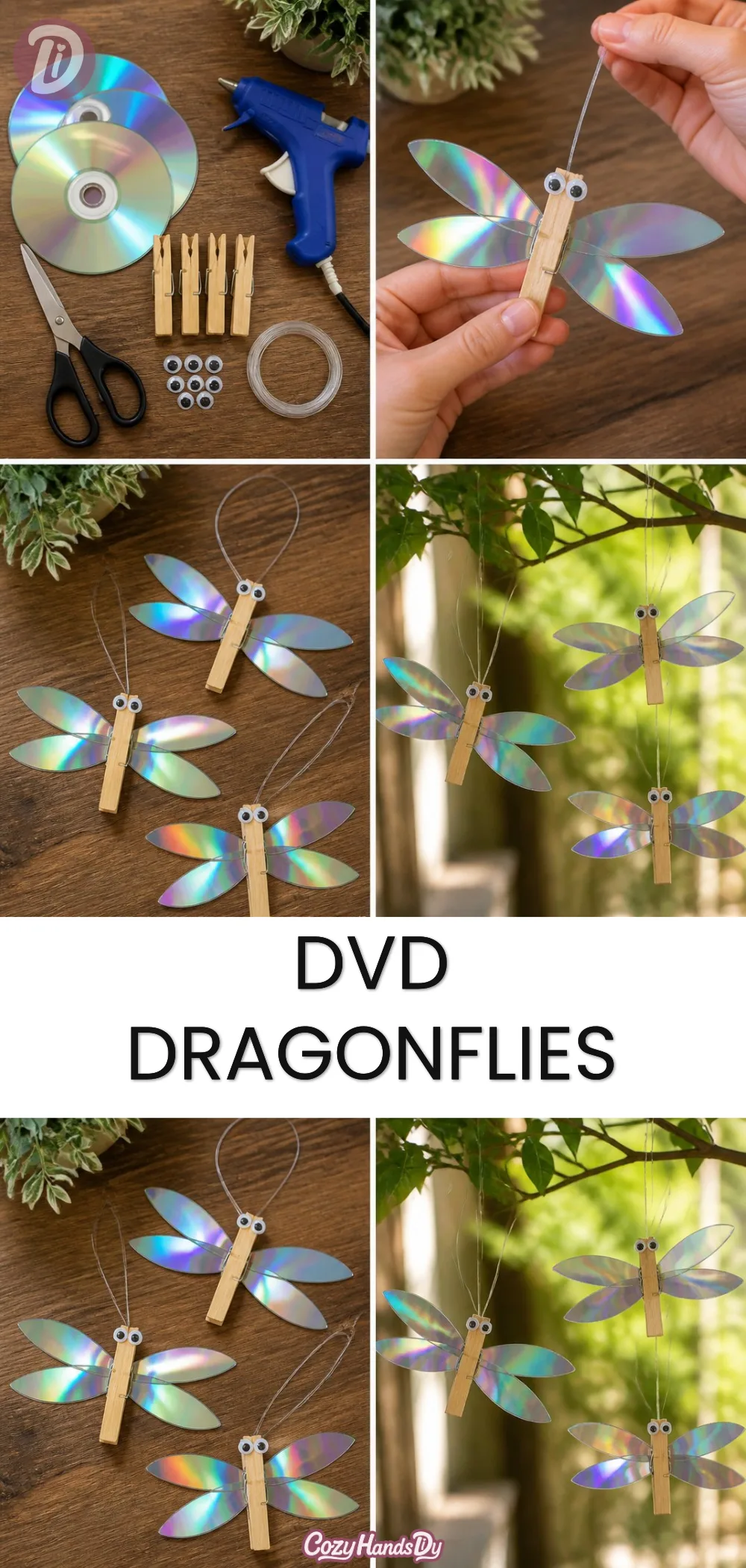 DVD Dragonflies