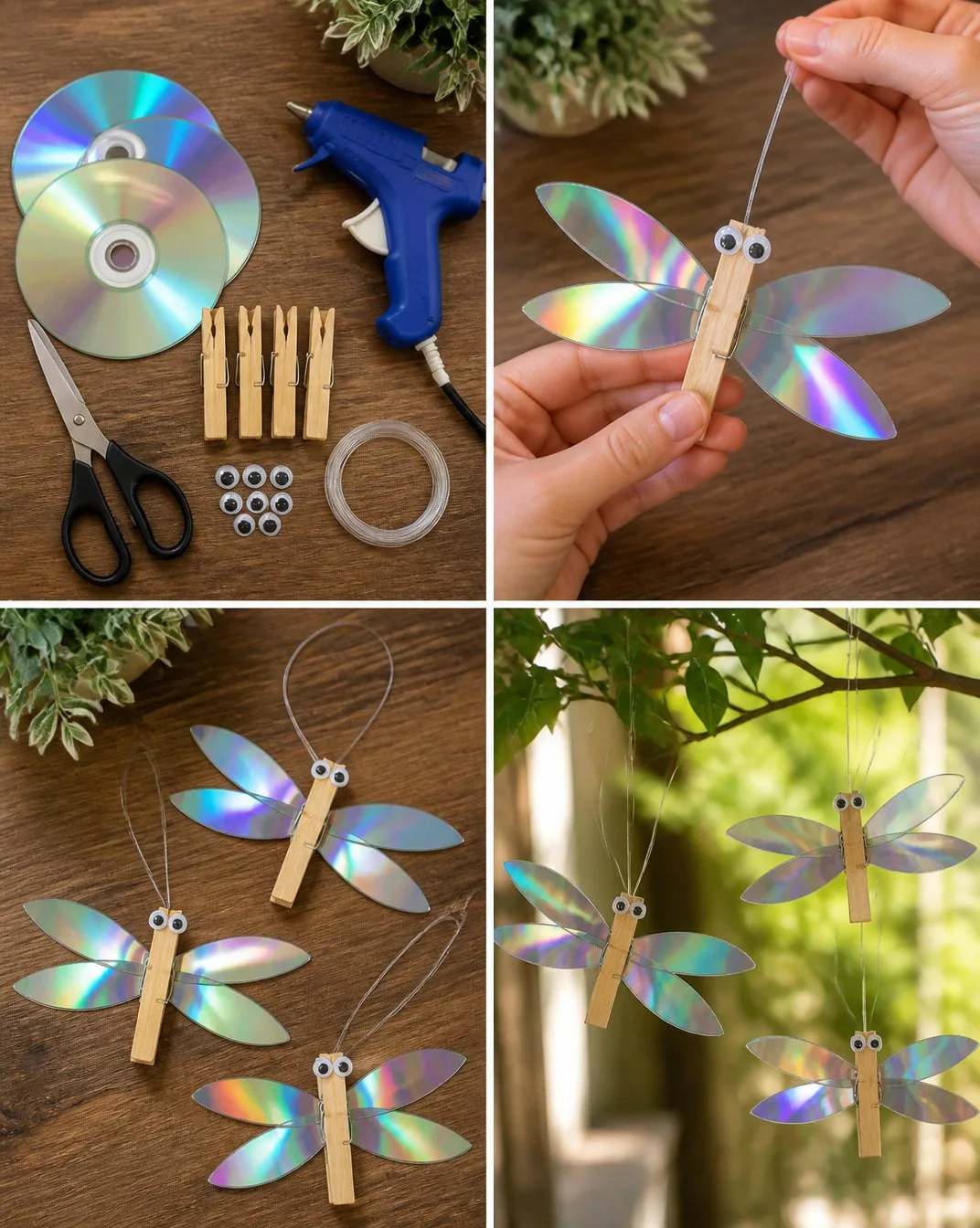 DVD Dragonflies
