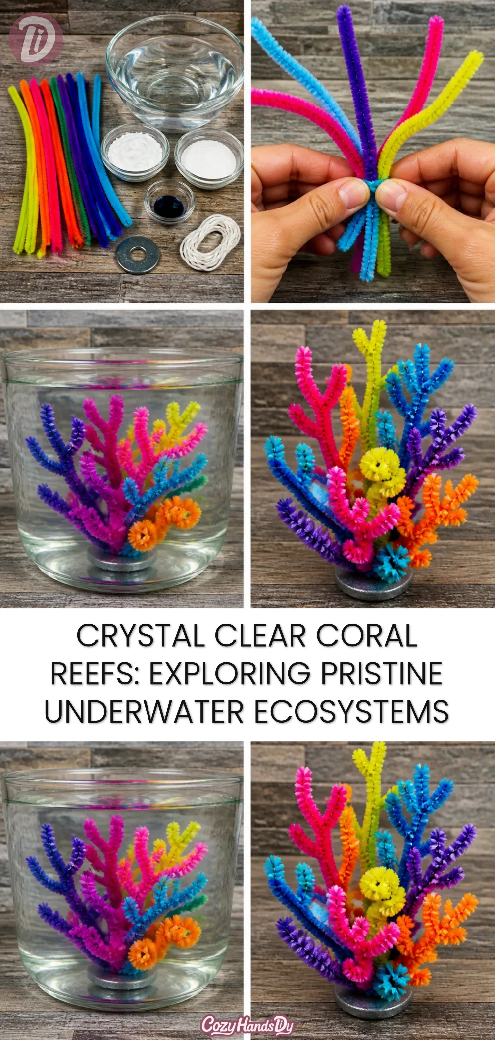 Crystal Clear Coral Reefs: Exploring Pristine Underwater Ecosystems