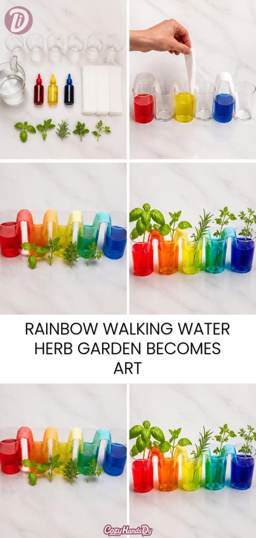 Rainbow Walking Water Herb Garden Becomes Art