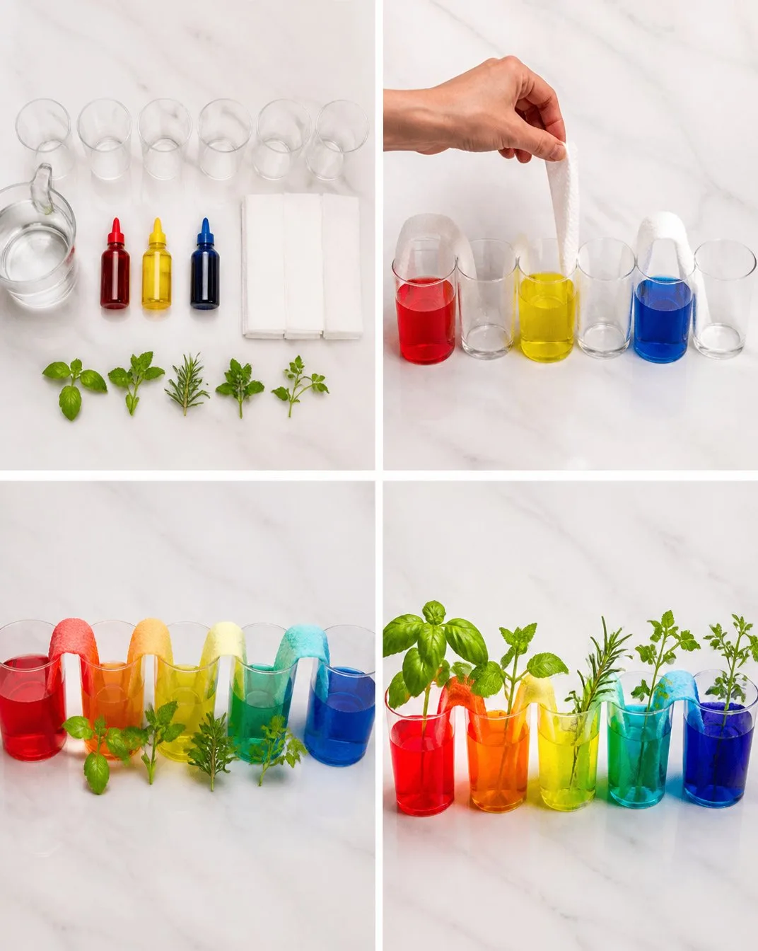 Rainbow Walking Water Herb Garden Becomes Art 6 Rainbow Walking Water Herb Garden Becomes Art