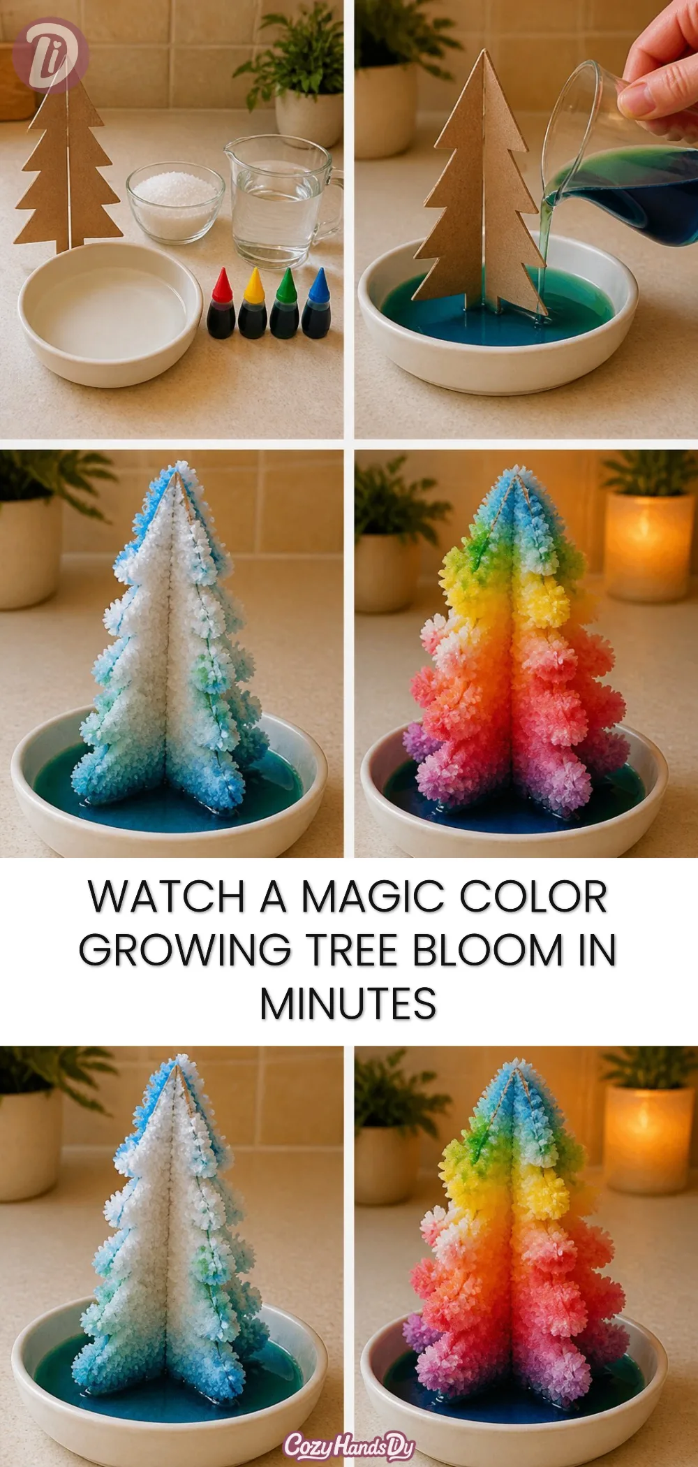 Watch A Magic Color Growing Tree Bloom In Minutes